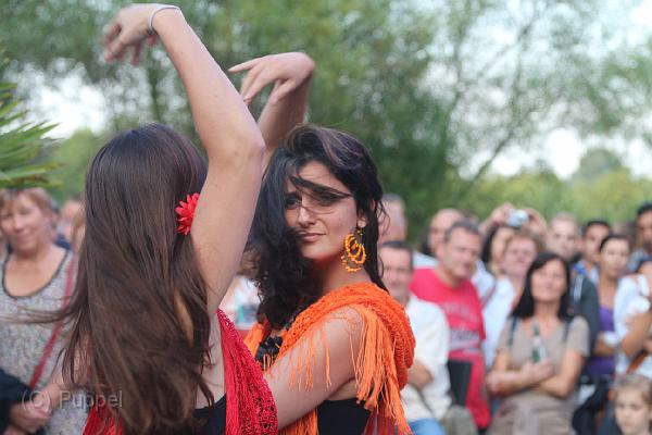 T-20140730-195842_IMG_6384-6.JPG