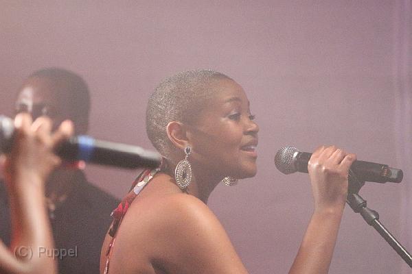 T-20140730-213412_IMG_6603-6.JPG