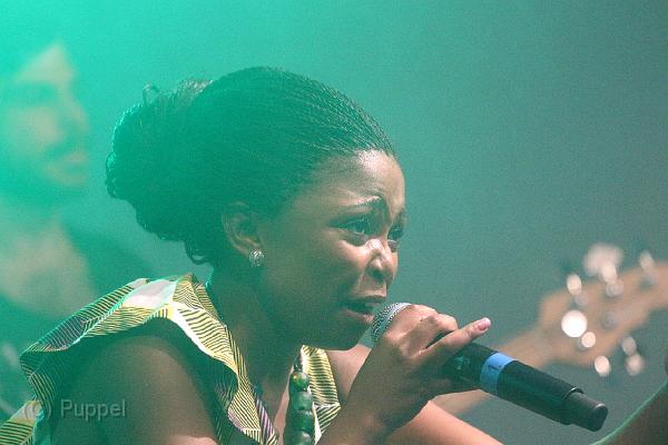 T-20140730-213724_IMG_6653-6.JPG