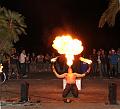 T-20140730-223522_IMG_0663-Fa