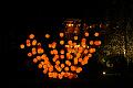 T-20140907-203856_IMG_2893-7