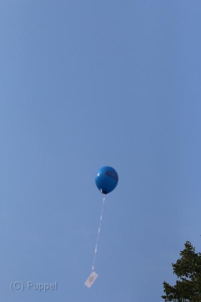 T-20140907-161531_IMG_2179-7.JPG