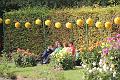 T-20140907-163058_IMG_7703-F