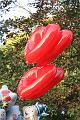 T-20140907-175648_IMG_8131-F