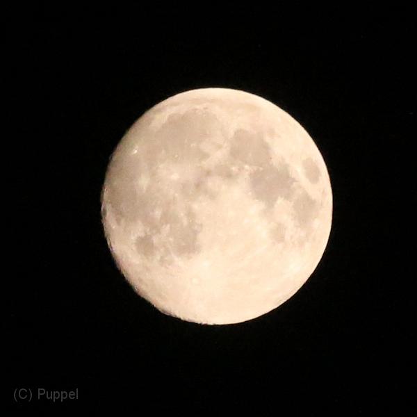 T-20140907-220944_IMG_3411-7a.jpg