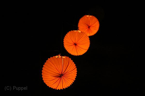 T-20140907-223935_IMG_3495-7.JPG
