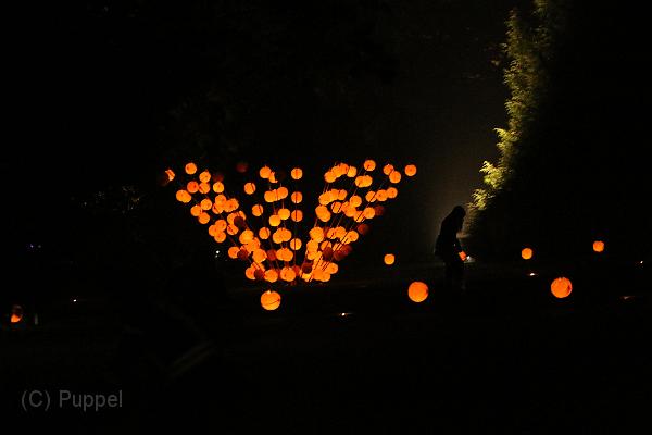 T-20140907-223942_IMG_3502-7.JPG