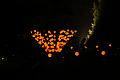 T-20140907-223942_IMG_3502-7