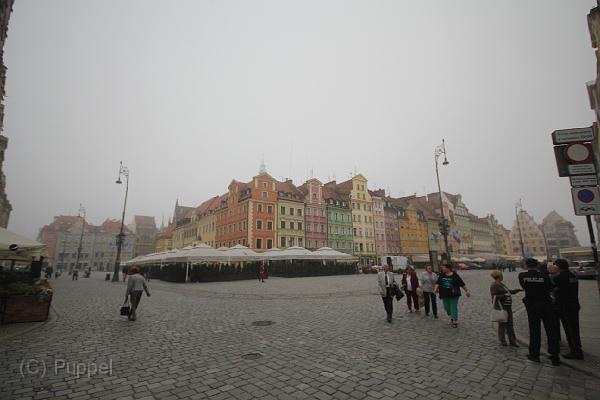 T-20140913-090832_IMG_9520-F.JPG