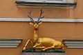 T-20140913-091030_IMG_4134-7