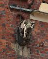 T-20140913-140526_IMG_4801-7a