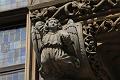 T-20140913-140654_IMG_4802-7