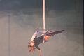 T-20140913-191326_IMG_5319-7