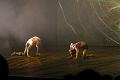 T-20140913-191956_IMG_5357-7