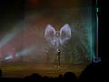 T-20140913-191938_P1720535-G