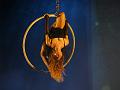 T-20140913-192542_P1720691-G