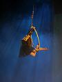 T-20140913-192631_P1720722-G