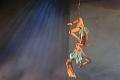 T-20140913-193250_IMG_5431-7