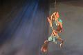 T-20140913-193252_IMG_5432-7