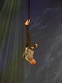 T-20140913-194117_P1720872-G