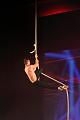 T-20140913-194536_IMG_5631-7