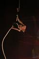 T-20140913-194700_IMG_5694-7