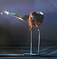 T-20140913-195010_IMG_5766-7aa