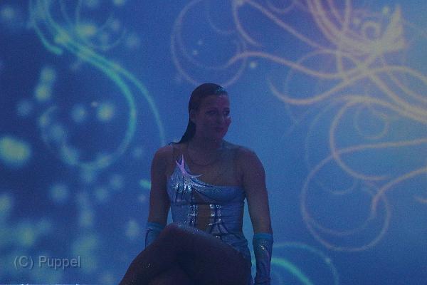 T-20140913-200428_IMG_6117-7.JPG