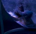 T-20140913-200056_IMG_5956-7aa