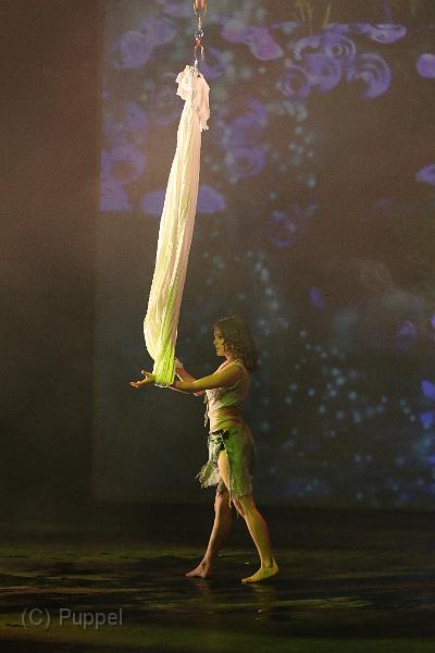 T-20140913-200800_IMG_6141-7.JPG