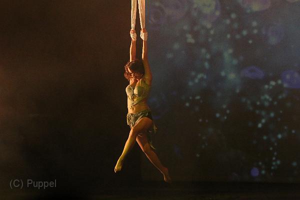 T-20140913-200820_IMG_6153-7.JPG