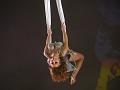 T-20140913-200549_P1730073-G