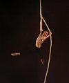 T-20140913-194646_IMG_5685-7a
