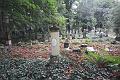 T-20140913-172110_IMG_0943-F
