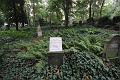 T-20140913-172126_IMG_0946-F