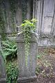 T-20140913-172952_IMG_1041-F