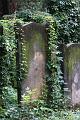 T-20140913-173044_IMG_5164-7