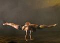 T-20140913-191642_IMG_5331-7a