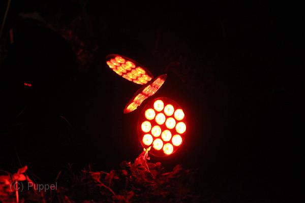 T-20140926-204802_IMG_7974-6.JPG