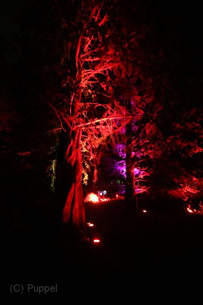 T-20140926-204929_IMG_7379-7.JPG