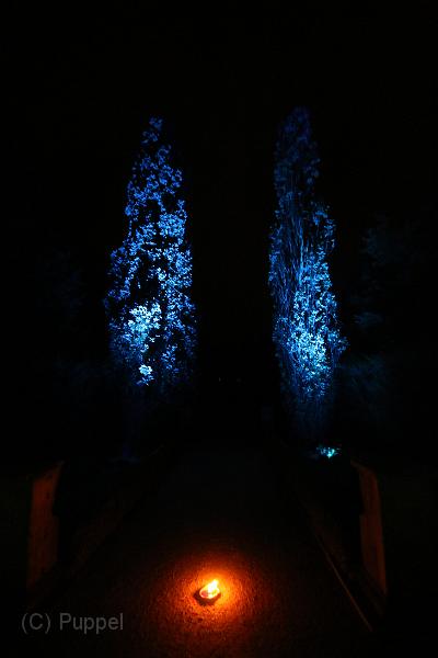 T-20140926-205252_IMG_7398-7.JPG