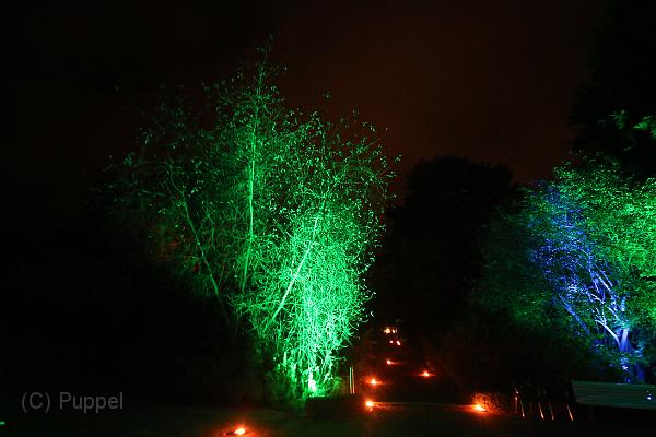 T-20140926-205419_IMG_7414-7.JPG