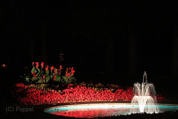 T-20140926-211346_IMG_8118-6.JPG