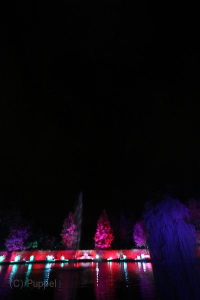 T-20140926-212810_IMG_7558-7.JPG