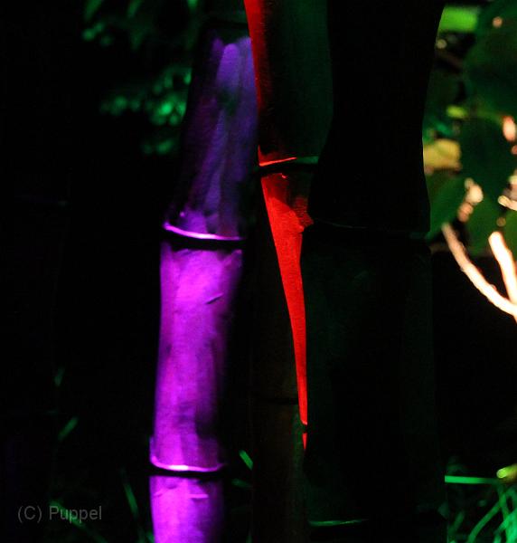 T-20140926-214510_IMG_8226-6a.jpg