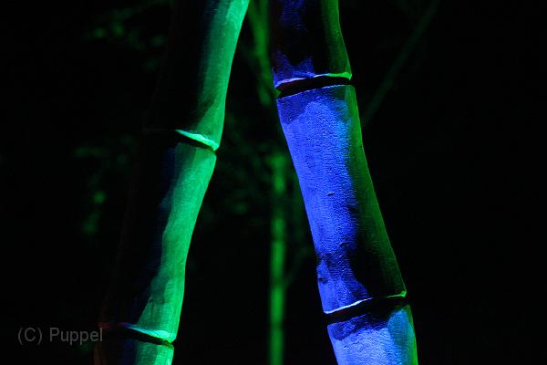 T-20140926-214812_IMG_8235-6.JPG
