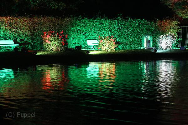 T-20140926-225236_IMG_8379-6.JPG
