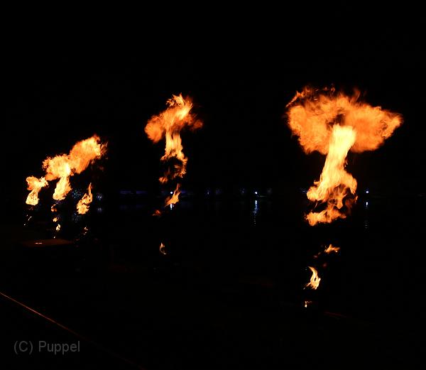 T-20140926-225332_IMG_7942-7aa.jpg