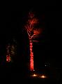 T-20140926-204542_IMG_7359-7a