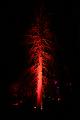 T-20140926-204636_IMG_7364-7